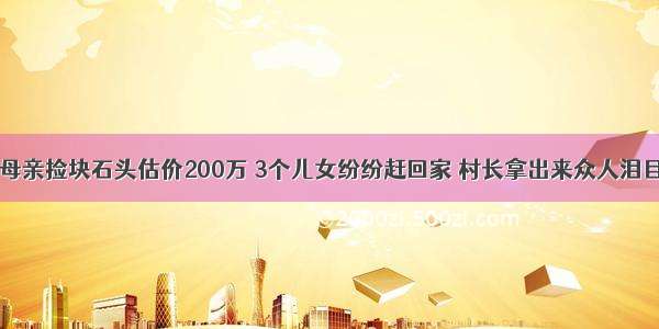 母亲捡块石头估价200万 3个儿女纷纷赶回家 村长拿出来众人泪目