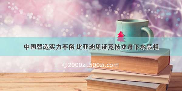 中国智造实力不俗 比亚迪见证竞技龙舟下水亮相