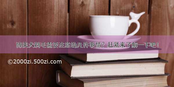 博美犬剃毛需要注意的几件事情？赶紧来了解一下吧！