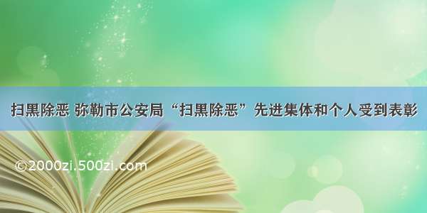 扫黑除恶 弥勒市公安局“扫黑除恶”先进集体和个人受到表彰