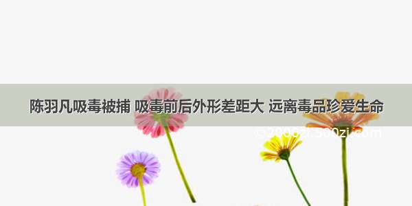 陈羽凡吸毒被捕 吸毒前后外形差距大 远离毒品珍爱生命