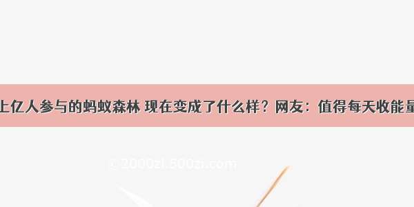 上亿人参与的蚂蚁森林 现在变成了什么样？网友：值得每天收能量