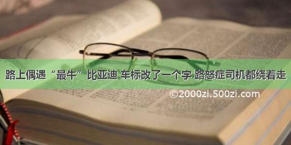 路上偶遇“最牛”比亚迪 车标改了一个字 路怒症司机都绕着走