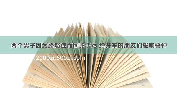 两个男子因为路怒症而同归于尽 给开车的朋友们敲响警钟