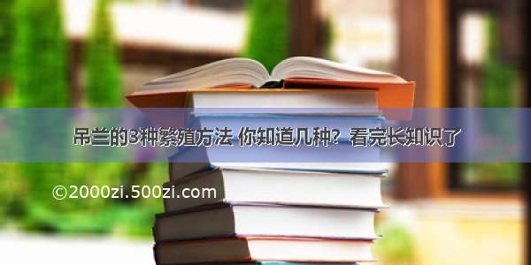 吊兰的3种繁殖方法 你知道几种？看完长知识了