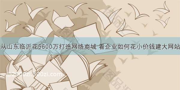 从山东临沂花5600万打造网络商城 看企业如何花小价钱建大网站