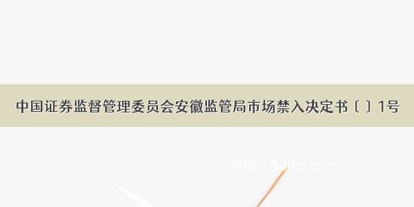 中国证券监督管理委员会安徽监管局市场禁入决定书〔〕1号