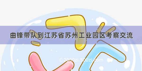 曲锋带队到江苏省苏州工业园区考察交流