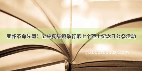 缅怀革命先烈！宝应夏集镇举行第七个烈士纪念日公祭活动