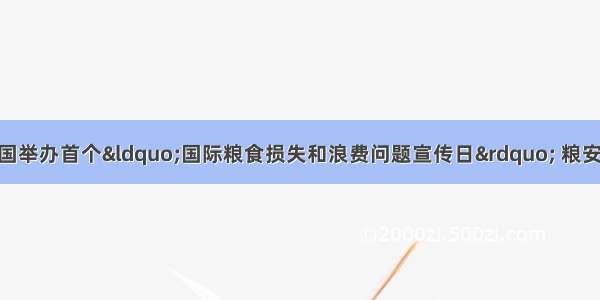 「老外有话说」联合国举办首个“国际粮食损失和浪费问题宣传日” 粮安委赞赏中国“光