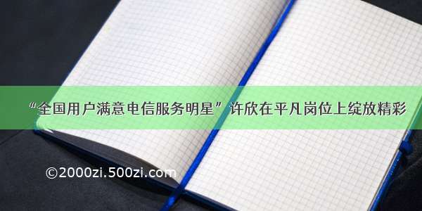 “全国用户满意电信服务明星”许欣在平凡岗位上绽放精彩