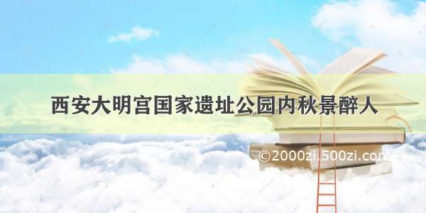 西安大明宫国家遗址公园内秋景醉人