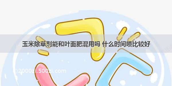 玉米除草剂能和叶面肥混用吗 什么时间喷比较好