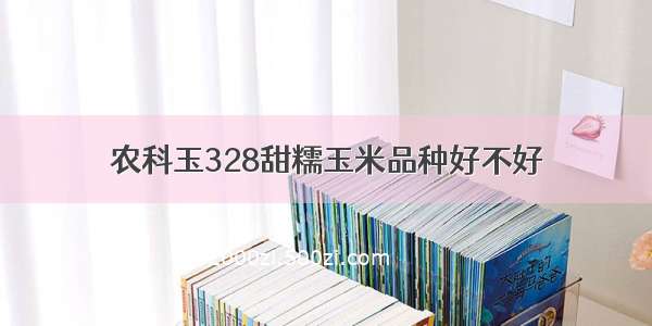 农科玉328甜糯玉米品种好不好