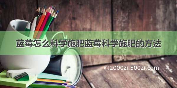 蓝莓怎么科学施肥蓝莓科学施肥的方法