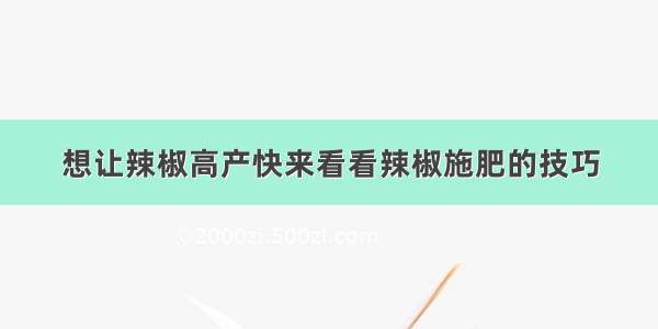 想让辣椒高产快来看看辣椒施肥的技巧