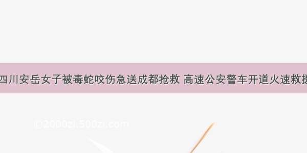 四川安岳女子被毒蛇咬伤急送成都抢救 高速公安警车开道火速救援