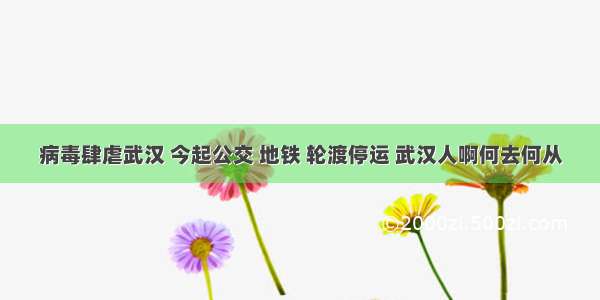 病毒肆虐武汉 今起公交 地铁 轮渡停运 武汉人啊何去何从