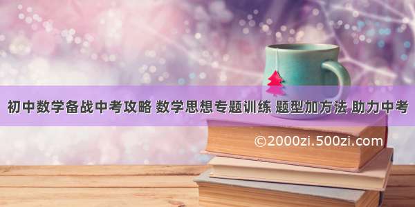 初中数学备战中考攻略 数学思想专题训练 题型加方法 助力中考