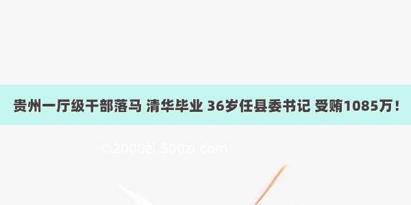 贵州一厅级干部落马 清华毕业 36岁任县委书记 受贿1085万！