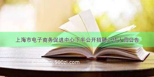 上海市电子商务促进中心下半公开招聘工作人员公告