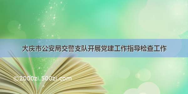 大庆市公安局交警支队开展党建工作指导检查工作