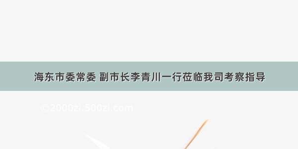 海东市委常委 副市长李青川一行莅临我司考察指导