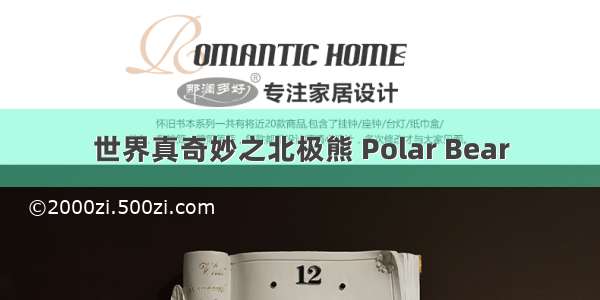 世界真奇妙之北极熊 Polar Bear