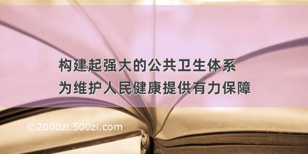 构建起强大的公共卫生体系
为维护人民健康提供有力保障