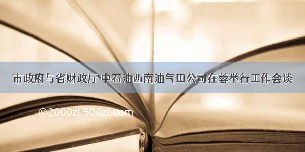 市政府与省财政厅 中石油西南油气田公司在蓉举行工作会谈