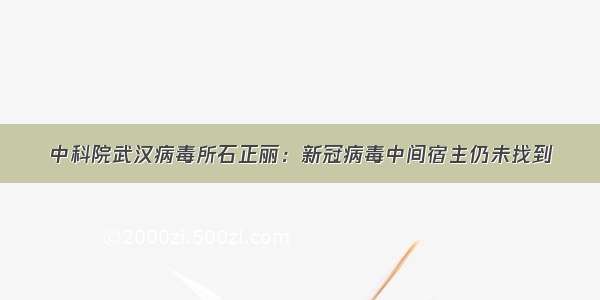 中科院武汉病毒所石正丽：新冠病毒中间宿主仍未找到