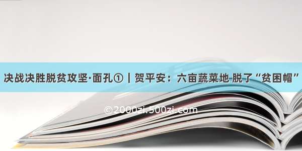 决战决胜脱贫攻坚·面孔①｜贺平安：六亩蔬菜地 脱了“贫困帽”