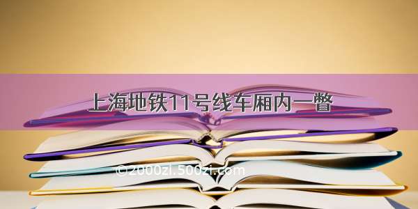 上海地铁11号线车厢内一瞥