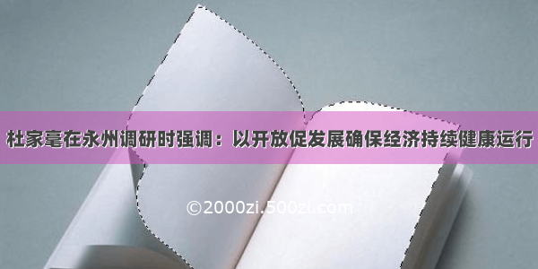 杜家毫在永州调研时强调：以开放促发展确保经济持续健康运行