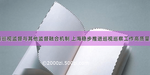 完善巡视监督与其他监督融合机制 上海稳步推进巡视巡察工作高质量发展