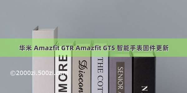 华米 Amazfit GTR Amazfit GTS 智能手表固件更新