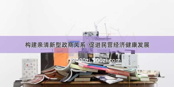 构建亲清新型政商关系  促进民营经济健康发展