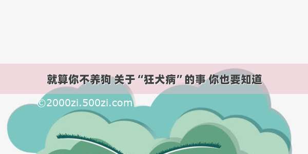 就算你不养狗 关于“狂犬病”的事 你也要知道