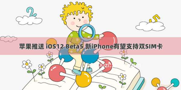 苹果推送 iOS12 Beta5 新iPhone有望支持双SIM卡