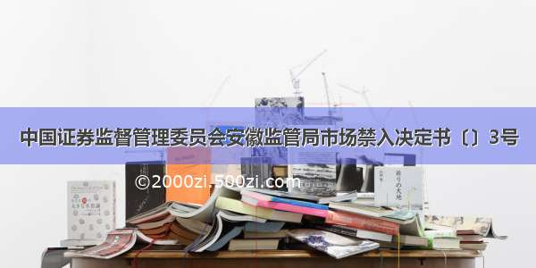 中国证券监督管理委员会安徽监管局市场禁入决定书〔〕3号