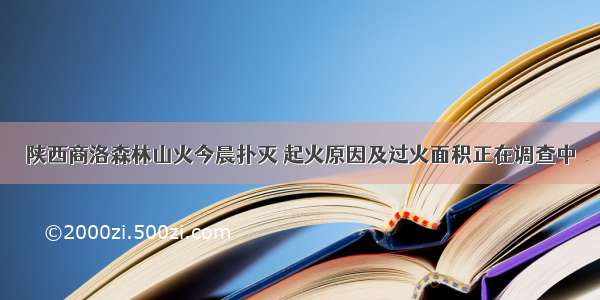 陕西商洛森林山火今晨扑灭 起火原因及过火面积正在调查中