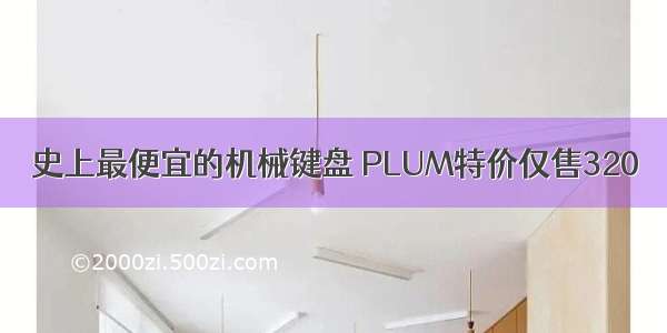 史上最便宜的机械键盘 PLUM特价仅售320