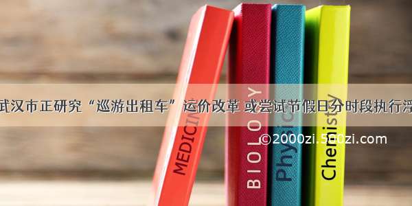 重磅！武汉市正研究“巡游出租车”运价改革 或尝试节假日分时段执行浮动价格