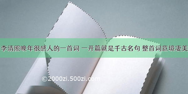 李清照晚年很感人的一首词 一开篇就是千古名句 整首词意境凄美