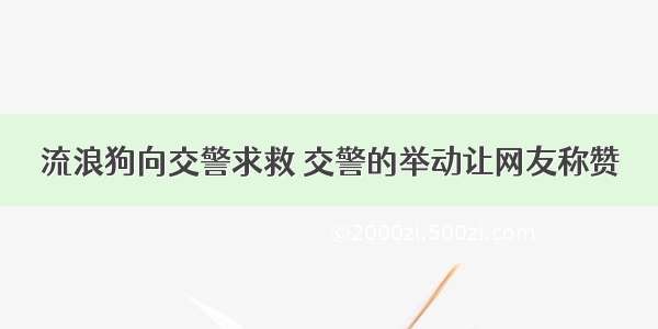 流浪狗向交警求救 交警的举动让网友称赞