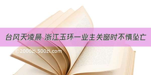 台风天凌晨 浙江玉环一业主关窗时不慎坠亡