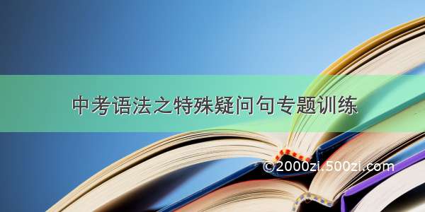 中考语法之特殊疑问句专题训练