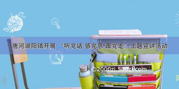 唐河湖阳镇开展 “听党话 感党恩 跟党走”主题宣讲活动