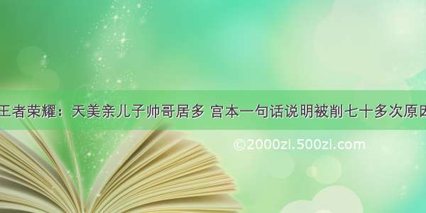 王者荣耀：天美亲儿子帅哥居多 宫本一句话说明被削七十多次原因