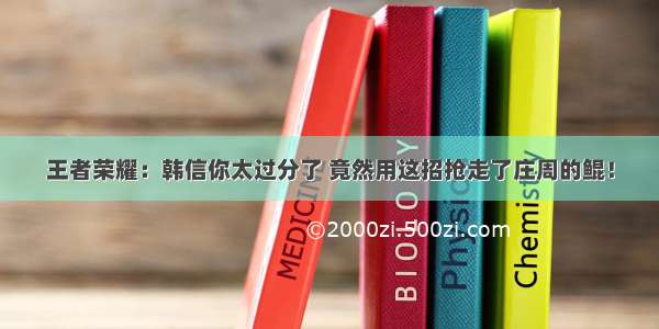 王者荣耀：韩信你太过分了 竟然用这招抢走了庄周的鲲！